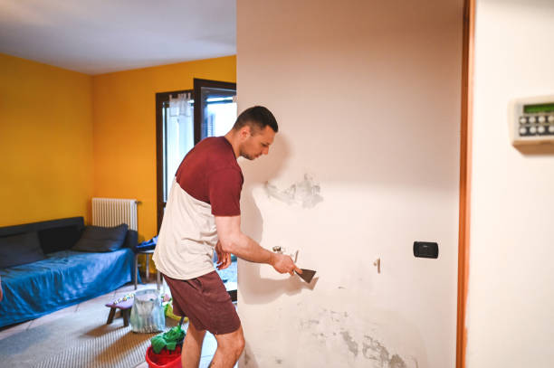 Best HVAC Mold Remediation in Scotts Hill, TN